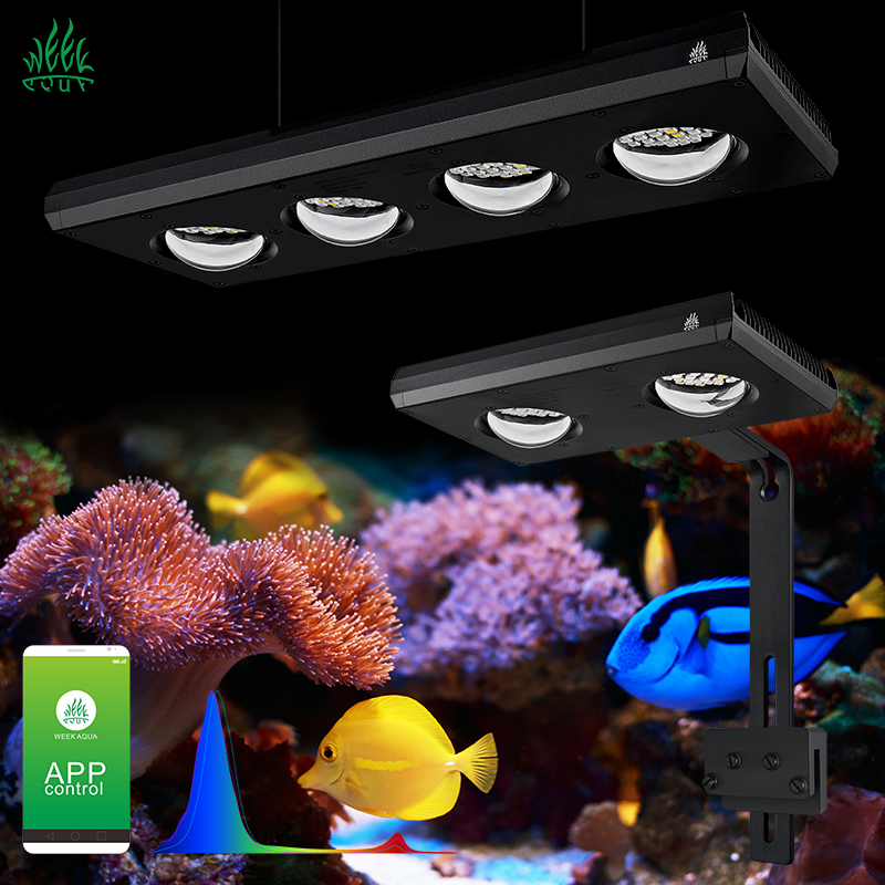 Marine Aquarium App - ZXY Vendita Calda WEEKAQUA Z250 Z400sea