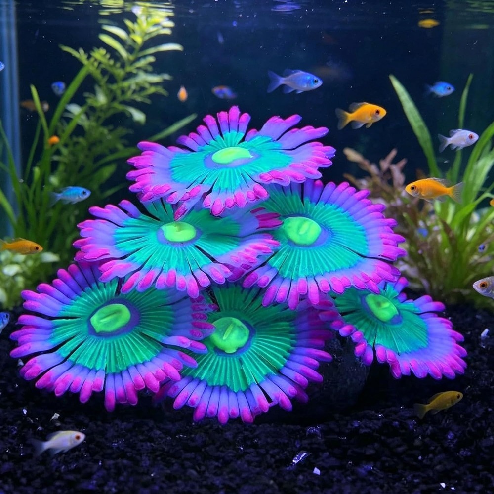 Marine Aquarium All In One - Decorazioni Luminose per Acquario, Piante Artificiali