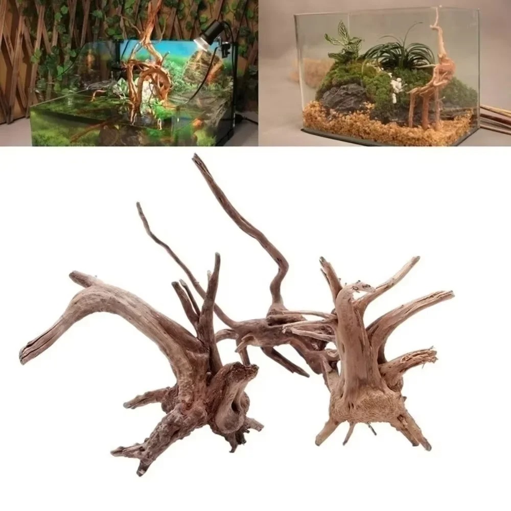 Marine Aquarium Tanks - (15-20 cm) Decorazione per Acquario in