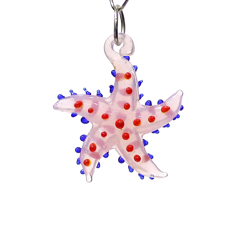 Aquarium And Marine - Animali marini carini, fascino delle stelle