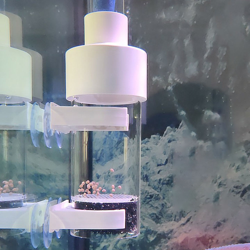 40mm Tumbler Incubatrice Incub - Marine Aquarium All In One recensione e prezzo