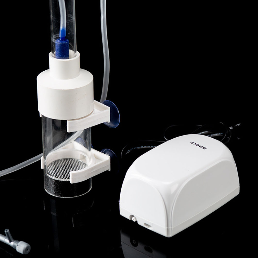 40mm Tumbler Incubatrice Incub - Marine Aquarium All In One recensione e prezzo