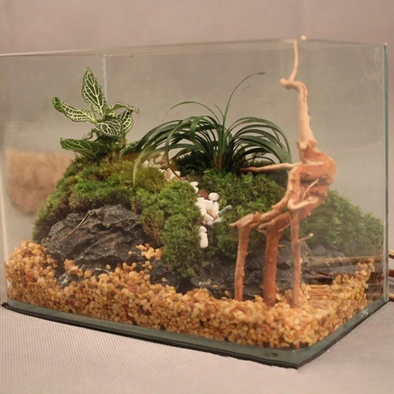 Tronco d'albero naturale Drift - Marine Aquarium All In One recensione e prezzo