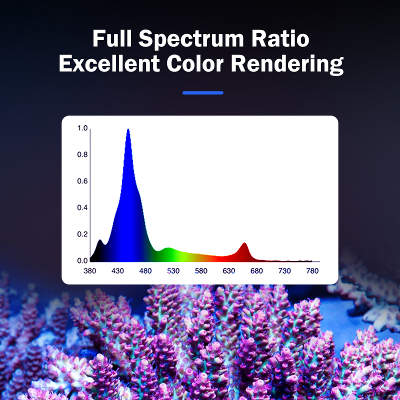 Lampada LED KASSRAY T169/T215  - Aquarium And Marine recensione e prezzo