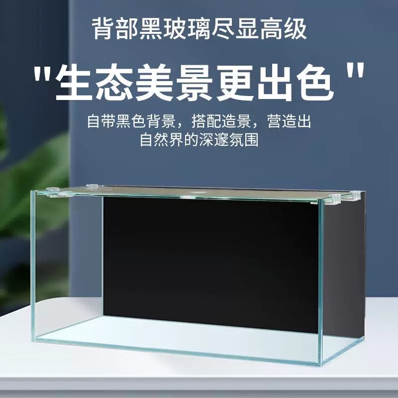Acquario da ufficio da tavolo  - Marine Aquarium All In One recensione e prezzo