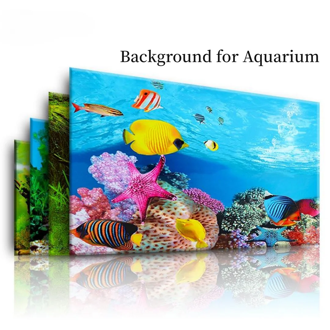 Sfondo Acquario Adesivo 3D Pos - Marine Aquarium All In One recensione e prezzo
