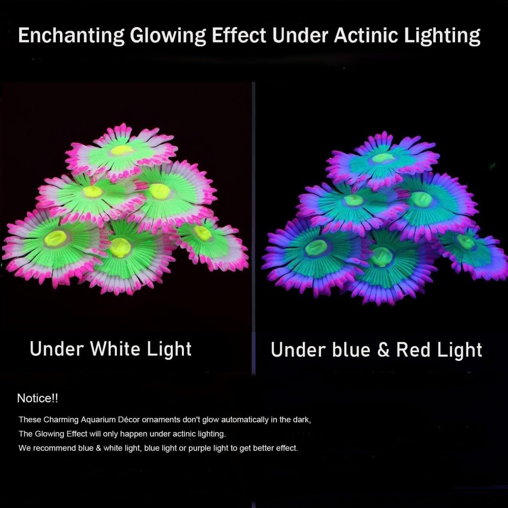 Decorazioni Luminose per Acqua - Marine Aquarium All In One recensione e prezzo