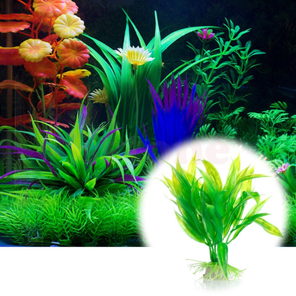 15cm artificiale acquario Deco - Marine Aquarium All In One recensione e prezzo