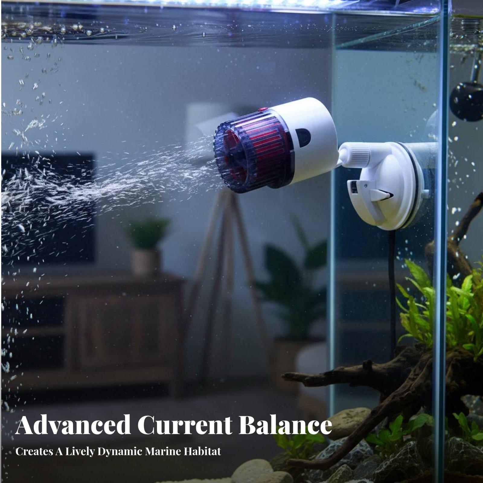 Generatore di Onde Portatile p - Marine Aquarium Wave Maker recensione e prezzo