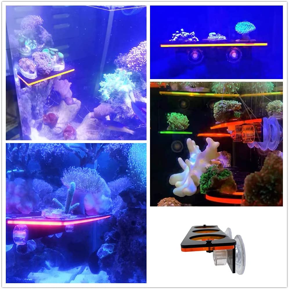 Staffa per tappo Frag in coral - Marine Aquarium All In One recensione e prezzo