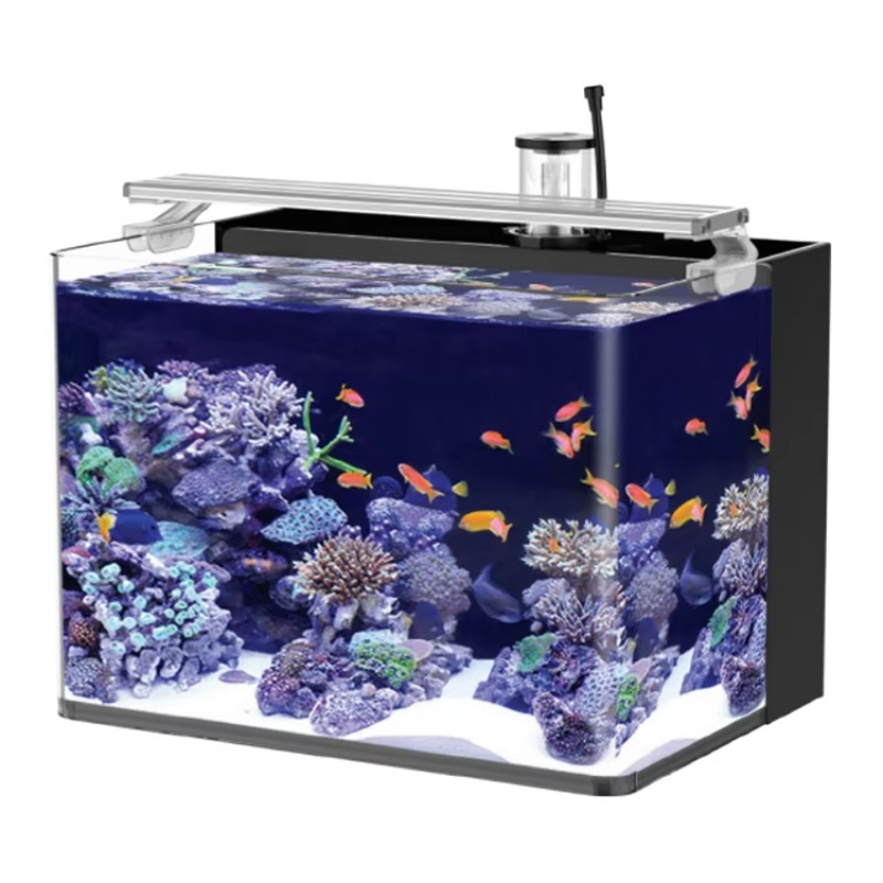 Acquario da Tavolo Curvo per P - Marine Aquarium All In One recensione e prezzo